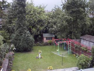 back garden