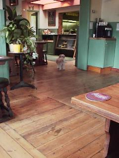 and bare floors, but whom do we see in the distance?