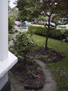 front garden