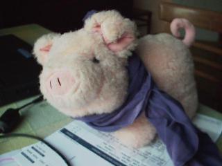 pig