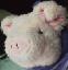Piggly Pegolas in a leisure moment