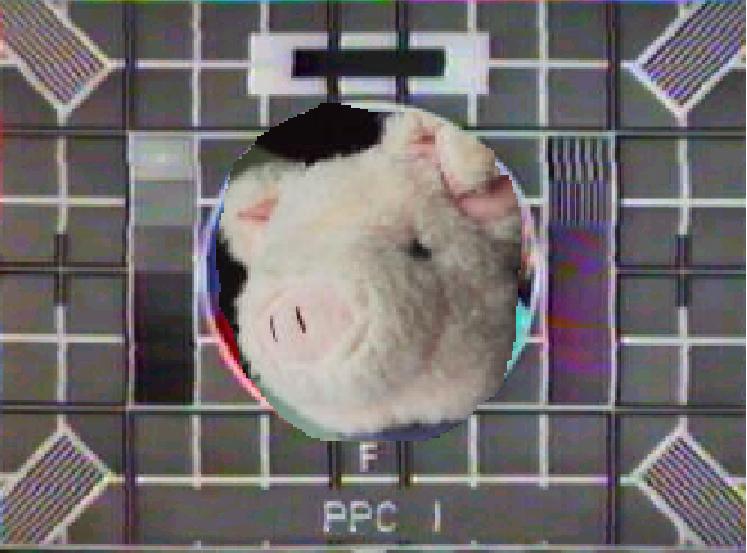 testcard